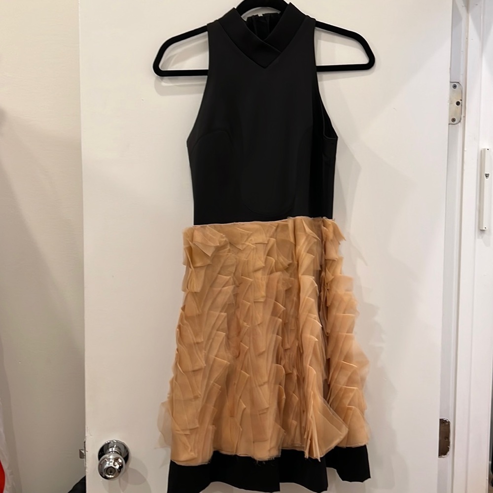 Sachin & Babi Dress